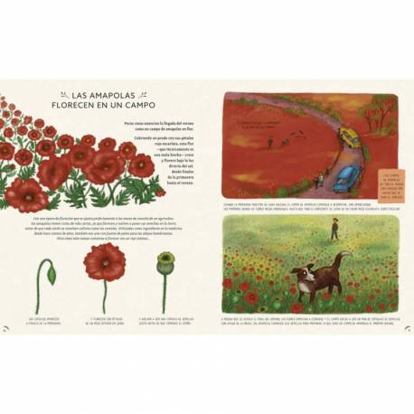 Con calma - 50 Historias de la Naturaleza  Cuentos para leer juntos