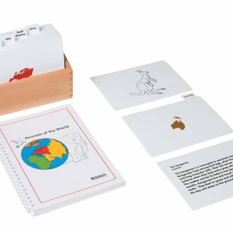 Tarjetas de actividades - Animales del Mundo (EN) Nienhuis Geografía 2