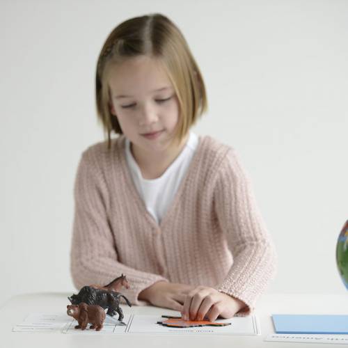 La Caja de Continentes y Animales (EN) Nienhuis Geografía