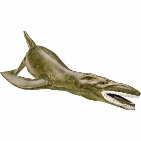 Animales Marinos Prehistóricos  Toobs Animales