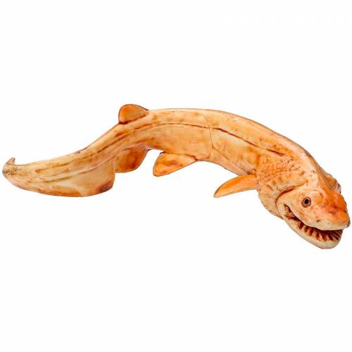 Animali marini preistorici