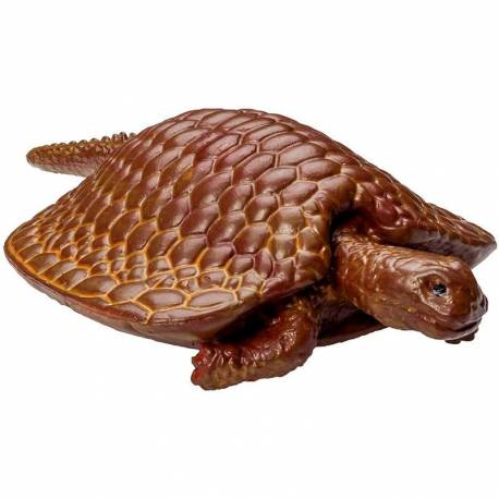 Animales Marinos Prehistóricos  Toobs Animales