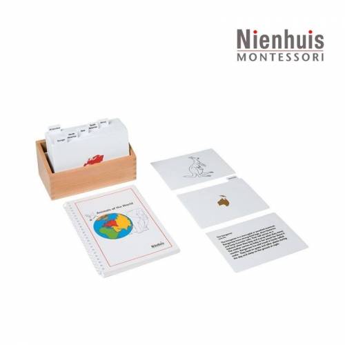 Tarjetas de actividades - Animales del Mundo (EN) Nienhuis Geografía