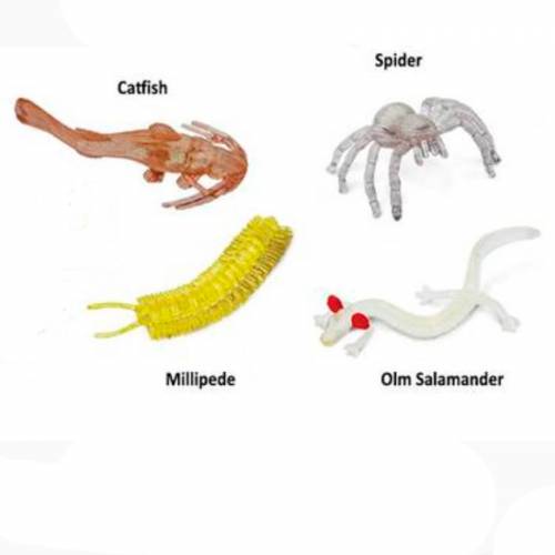 Confezione di animali da grotta