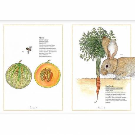 Inventario ilustrado de frutas y verduras  Libros con Imágenes Reales 2