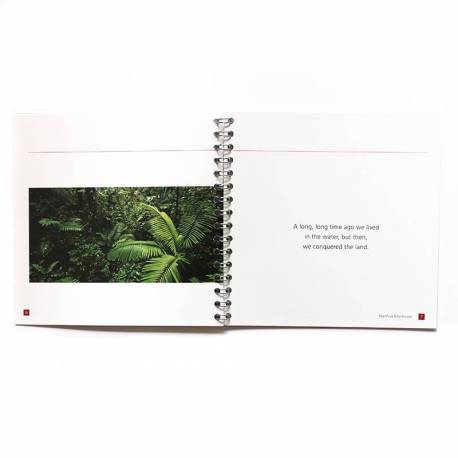 The Plants tell a Story Nienhuis Montessori Books for Children 2