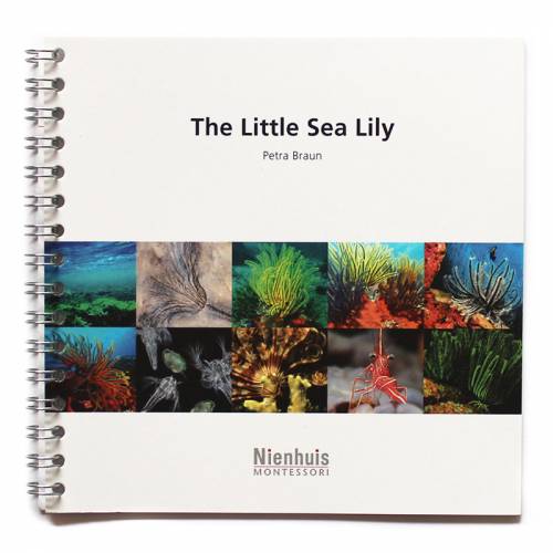 The Little Sea Lily Nienhuis Montessori Books for Children