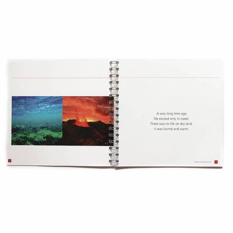 The Little Sea Lily Nienhuis Montessori Books for Children 2