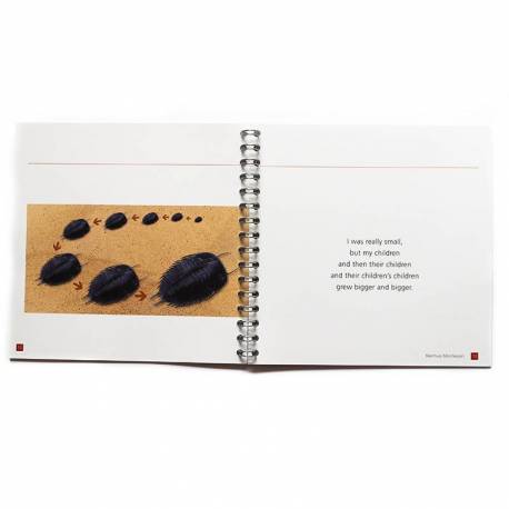 The Little Trilobite Nienhuis Montessori Books for Children 2