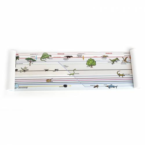 Linee di tempo Lona Montessori (4 metri)