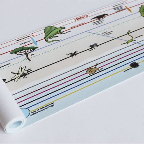 Lona líneas del tiempo Montessori (4 metros) Escuela Viva Historia