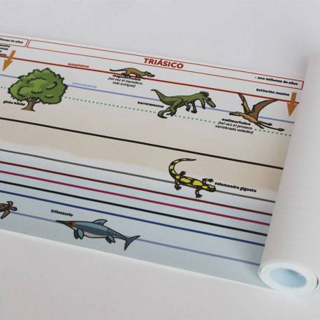 Linee di tempo Lona Montessori (4 metri)