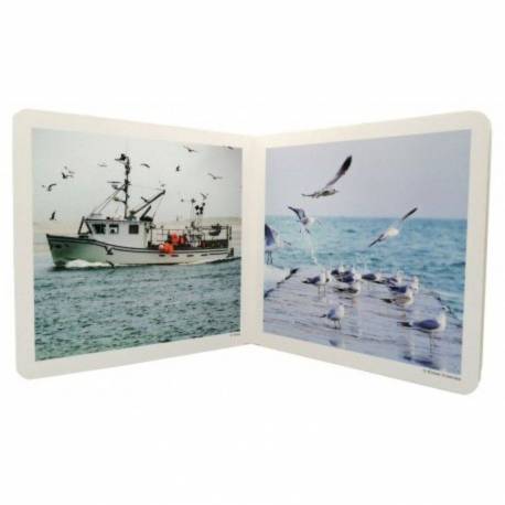 Cuento imágenes reales - El mar Nowordbooks Nowordbooks 2