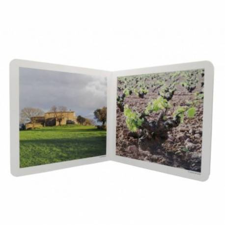 Conto immagine reale - Il campo 2