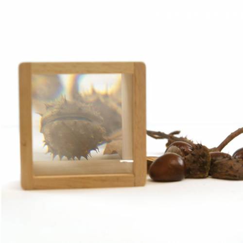 6 Bloques de madera con "lupa" Andreu Toys Juguetes Sensoriales