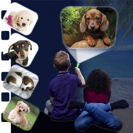 Torcia Cani Cachorros 2