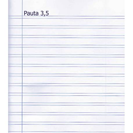 Recambio Pauta Cuarto 3,5 100 hojas 70 gr  Libretas, papel y lápices 2