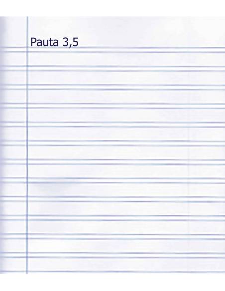 Recambio Pauta Cuarto 3,5 100 hojas 70 gr  Libretas, papel y lápices