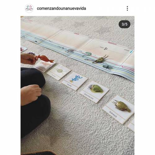 Linee di tempo Lona Montessori (4 metri)