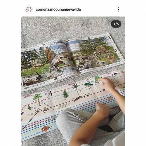 Lona líneas del tiempo Montessori (4 metros) Escuela Viva Manuales Montessori