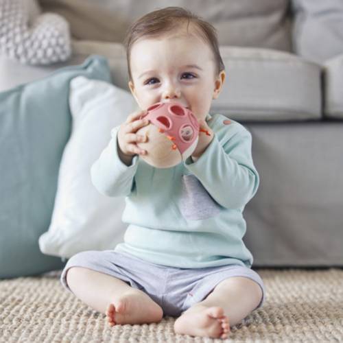 Mordedor bug occupato