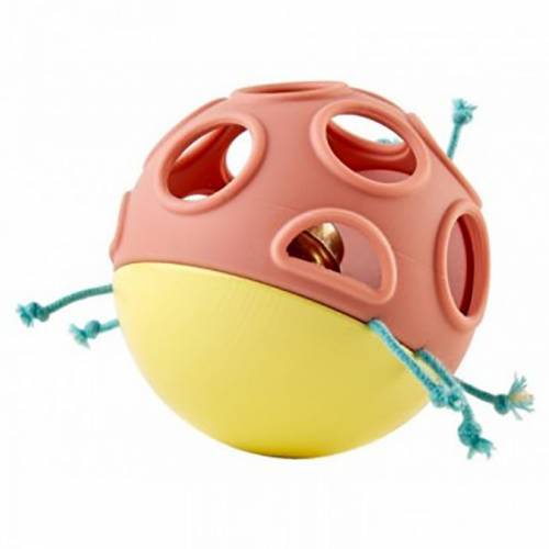 Mordedor bug occupato