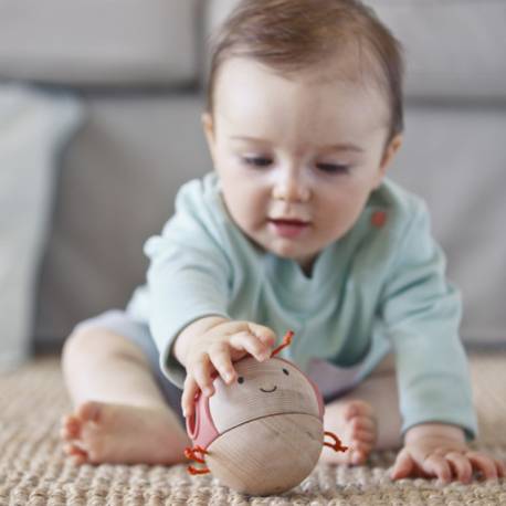 Mordedor bug occupato