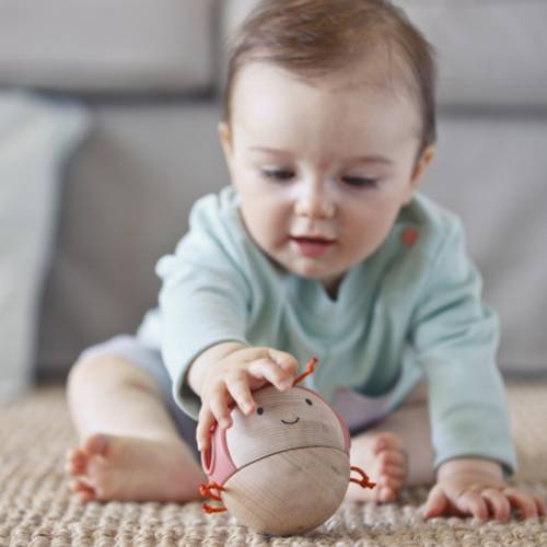 Mordedor bug occupato