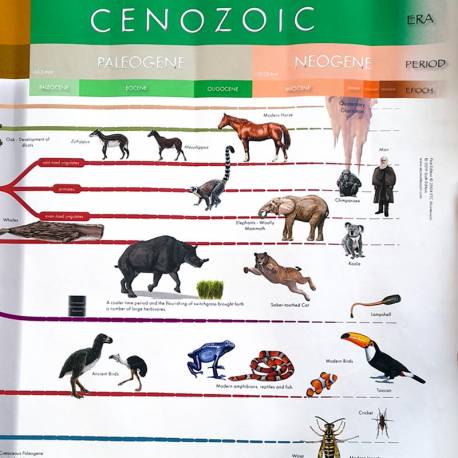 Timeline of Life (lavoro)
