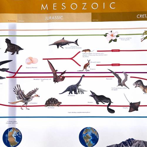 Timeline of Life (lavoro)