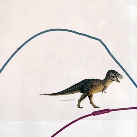 Timeline of Life (lavoro)