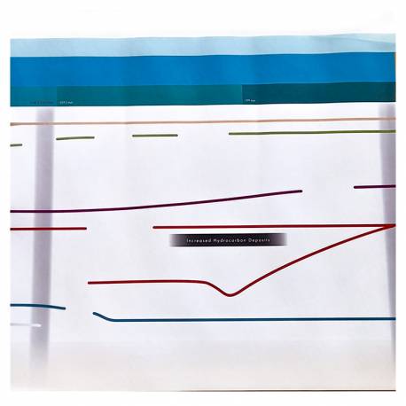 Timeline of Life (lavoro)