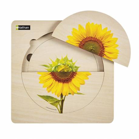 Puzzle per strati - Ciclo di girasole 2