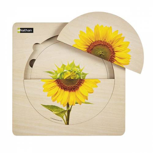 Puzzle per strati - Ciclo di girasole