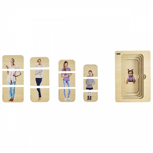 Puzzle per strati - Ciclo femminile