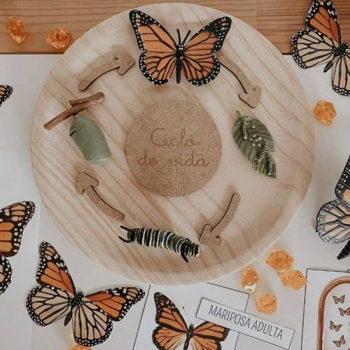 Frecce per ciclo di vita