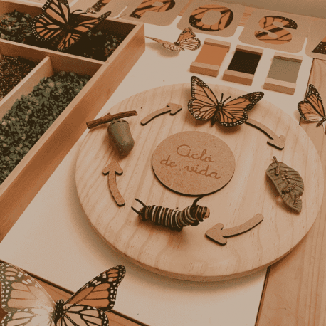 Base circolare in legno Ø26cm