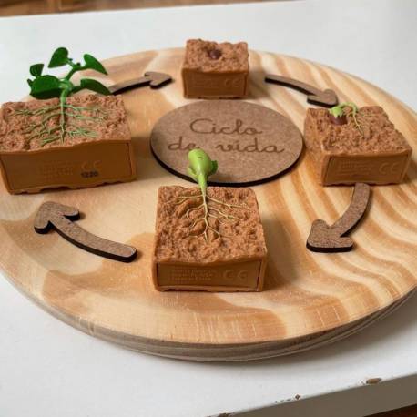 Flechas para ciclo de la vida Made in Spain Ciclos de la vida