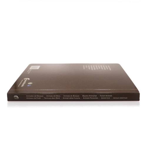 Libro Grande - Animales del bosque Nowordbooks Nowordbooks