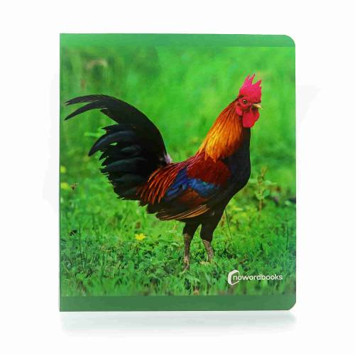 Big Book - Animali da fattoria