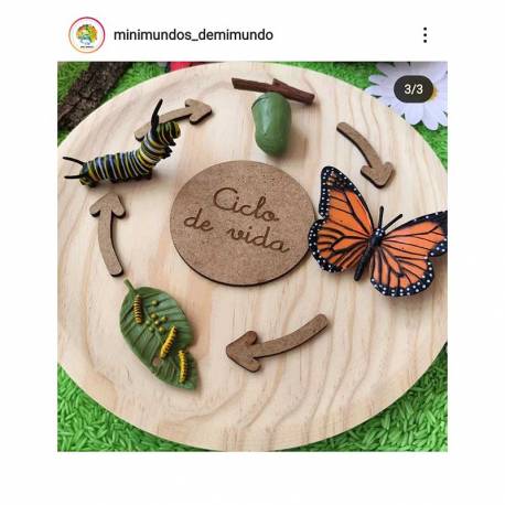 Flechas para ciclo de la vida Made in Spain Ciclos de la vida