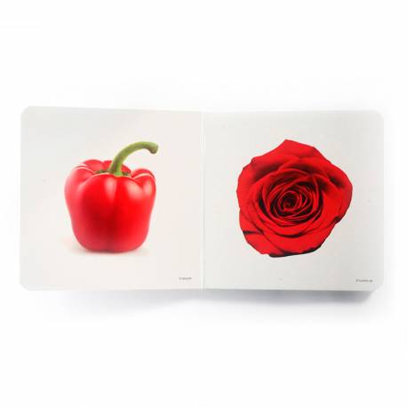 Cuento imágenes reales - Color rojo Nowordbooks Nowordbooks