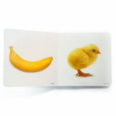 Cuento imágenes reales - Color amarillo Nowordbooks Nowordbooks