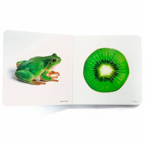 Conto immagine reale - Colore verde