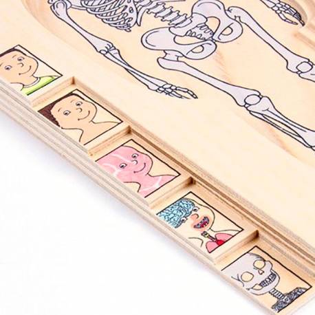 Puzzle del Corpo Umano - Bambino