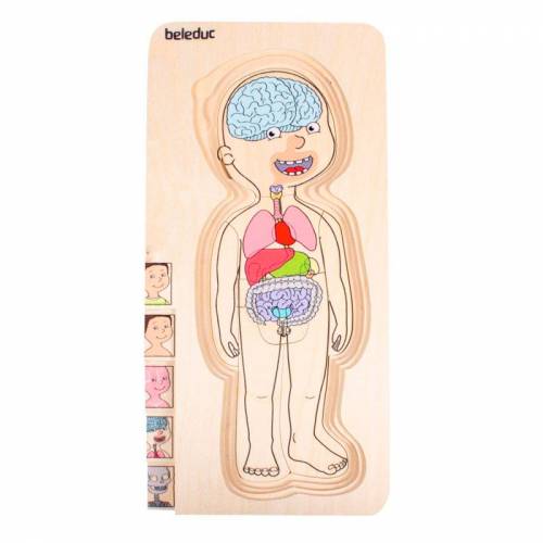 Puzzle cuerpo humano - Niño Hape Toys Cuerpo Humano
