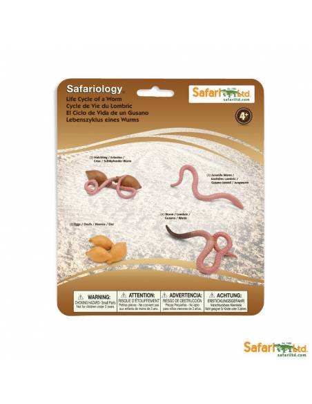 Roma antigua - Super toob