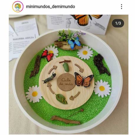 Flechas para ciclo de la vida Made in Spain Ciclos de la vida