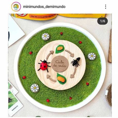 Flechas para ciclo de la vida Made in Spain Ciclos de la vida