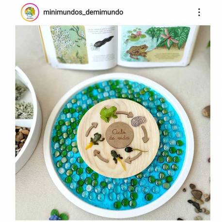 Flechas para ciclo de la vida Made in Spain Ciclos de la vida